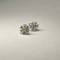 זוג עגילי פרח כסף